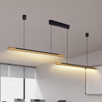 Modern Black and Gold LED Pendant Light