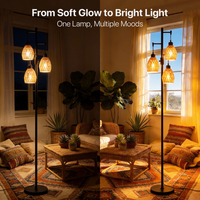 Boho Rattan Shade Floor Lamp
