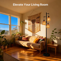 Boho Rattan Shade Floor Lamp